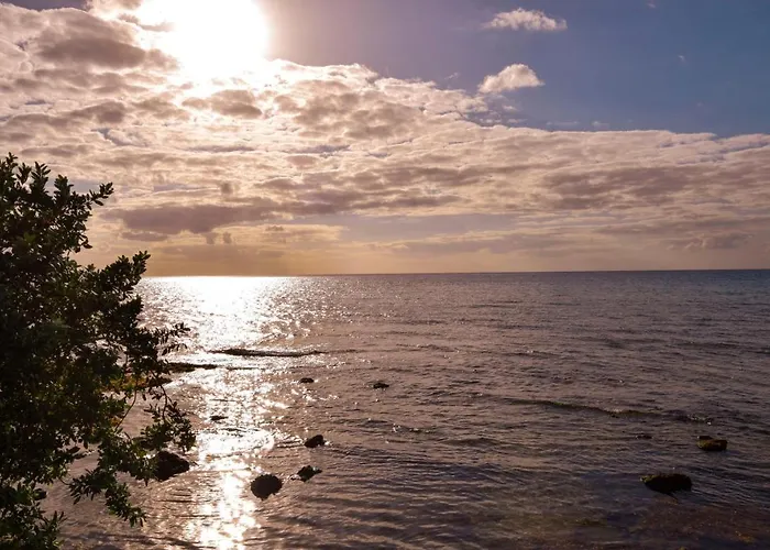 Deck 12 Unit 202 With Stunning Ocean Views Czd202